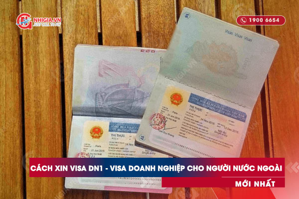 Cách xin visa DN1 - visa doanh nghiệp cho người nước ngoài mới nhất